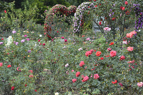 ��԰����¼���