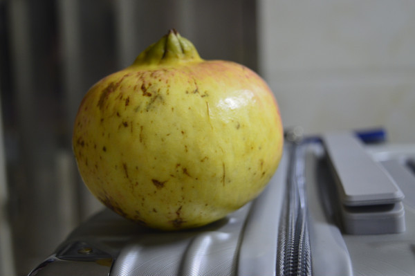 ��������д