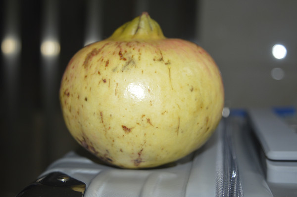 ������ͼƬ