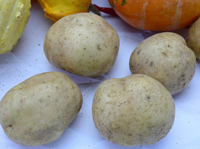 �ĸ�����