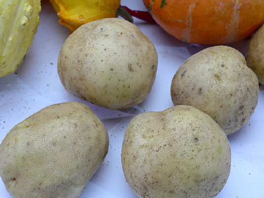 �ĸ�����