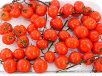 ��������ɫ