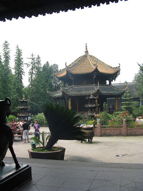 ����ͤԶ��