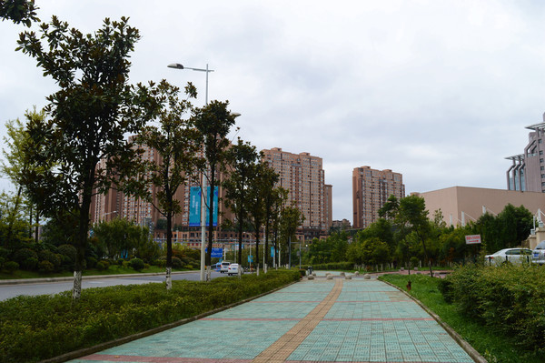 �����������е����̻���