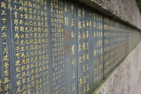 鷨ʯ