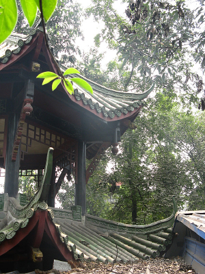 ����������ͤ��