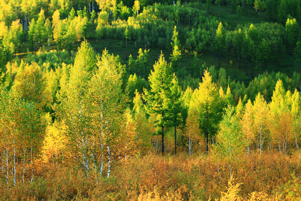 �̽���ֺ����� 