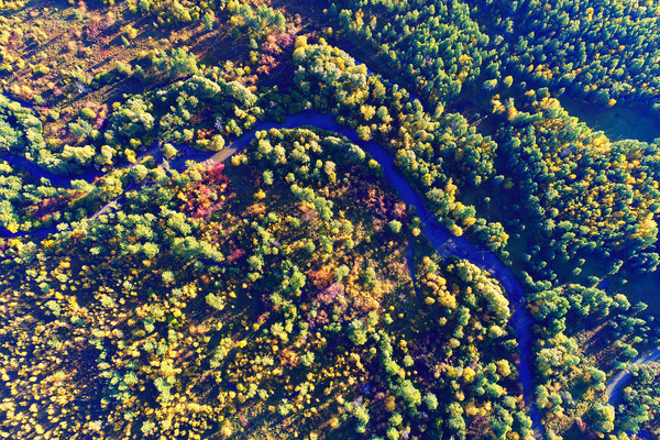 �ֺ��������� �����ģ� 