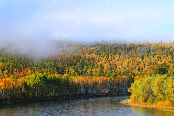 �ֺ����� ������ɫ 