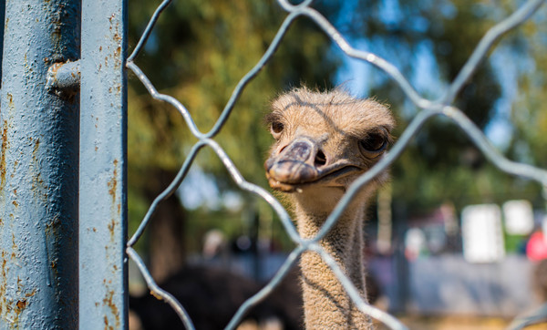 ���е�����