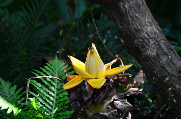 һ���ľ����