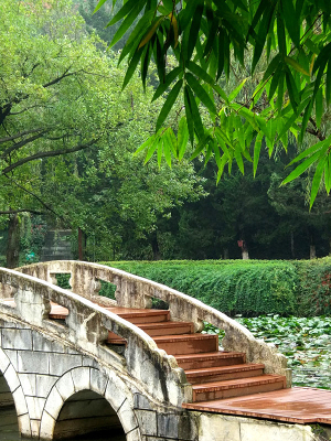 ֲ��԰��Ĺ���