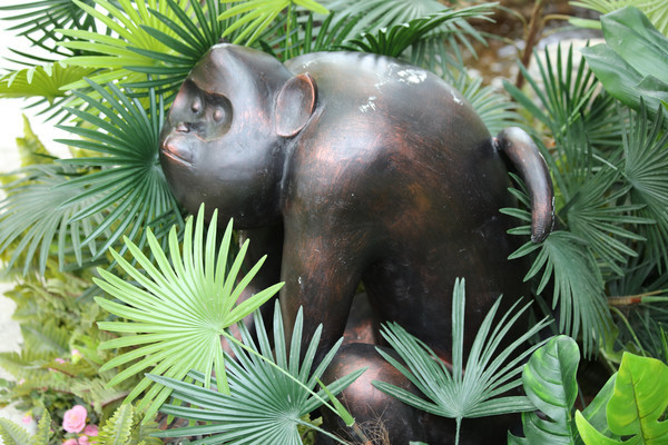 ����ͭ����