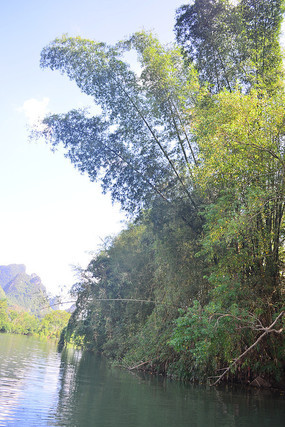 ���ߵ��������ͼƬ