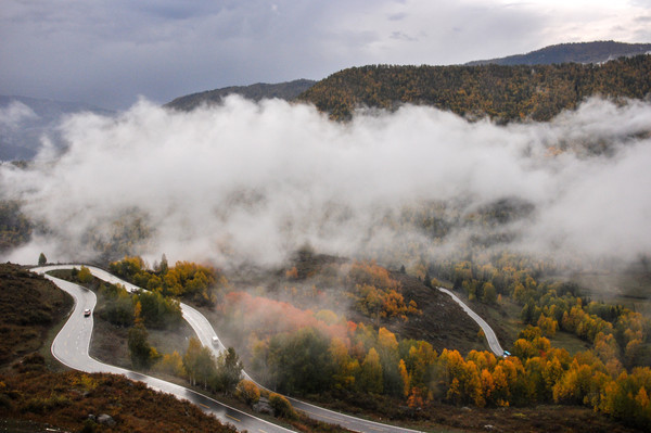 ����ɭ�ֹ�·