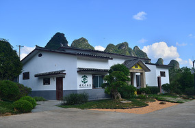 ����߷����ݽ���