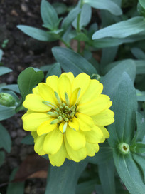 ����С�ƻ�