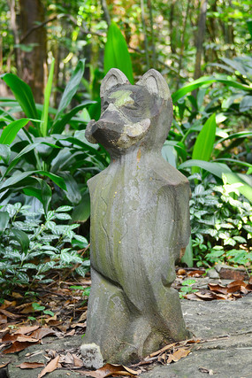 ���궯�����