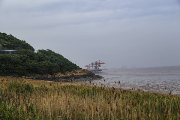 ����ɽ����