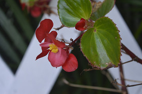 ʢ�����ļ�����