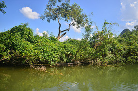 С�������羰ͼƬ