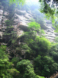 �̷�Ͽ�Ķ���ɽ��