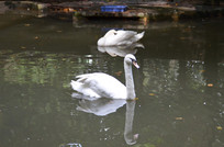 ������İ����