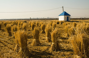 ���ݵ羮��