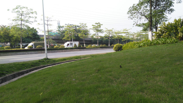 ��԰��ƺ��ľ�羰