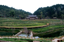 ������԰