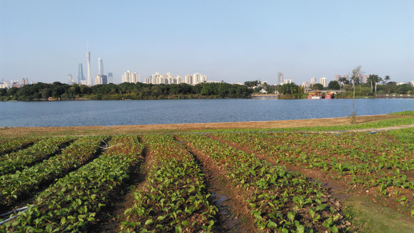 ��Ұ����