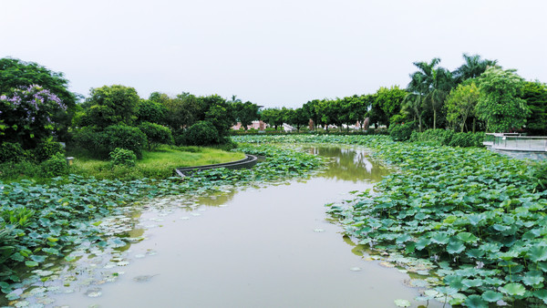 �ɻ�����