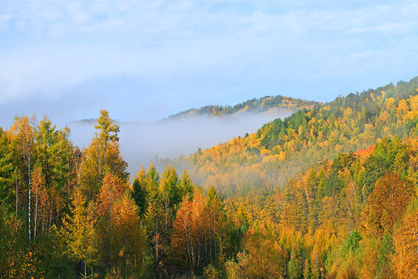 �ֺ�������ɫ