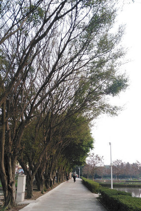 �̵���ľ�羰