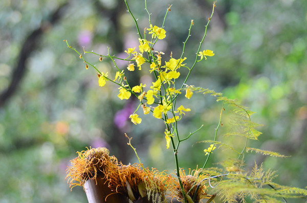 ����������������ͼƬ