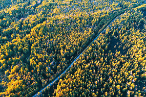 �＾�ֺ�ɽ· �����ģ�