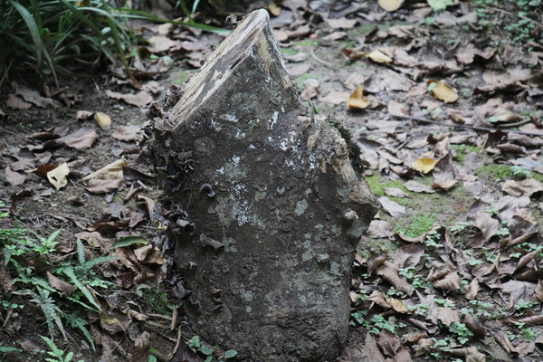 ������д