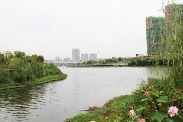 �ŷ��ҽ���