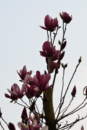 ���ô���д