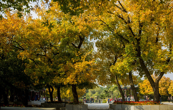 �˾��㳡�ķ���