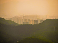 羰
