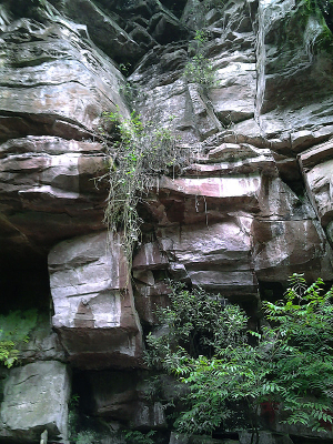 ������������ʯ