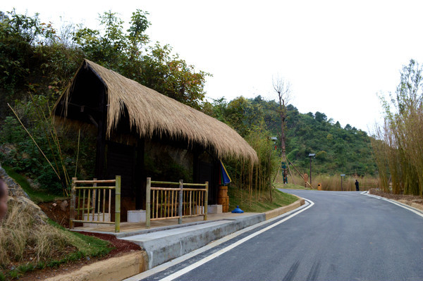 ��·�ߵ�é����