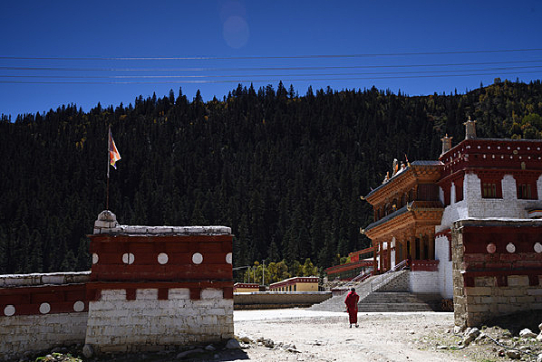 ��Ƥ�ӵ��������