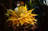 ֲ��ľ����