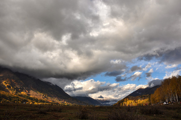 ��ɫ����