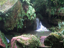 ��ʯ���ϵ���Ȫ