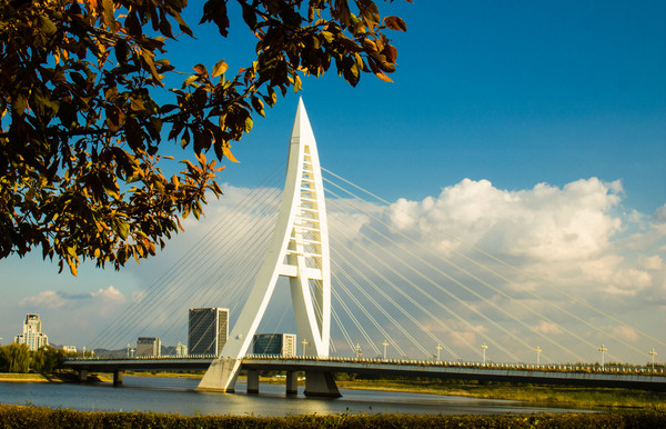 ���������Ҷб����