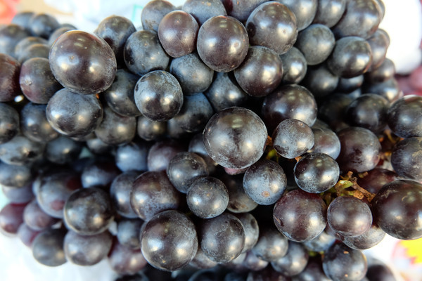 õ��������