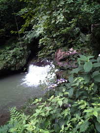 ���ֱ����ɽȪ